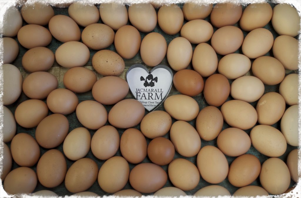 eggstable_Fotor Regenerative Landscapes Australia