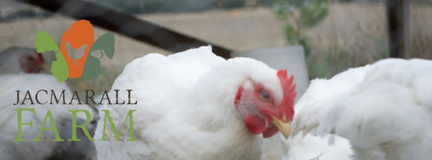 Soil Hydration Practicum Regenerative Landscapes Australia